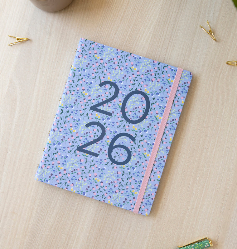 26-68310, Meadow A5 Planner Sky 2026