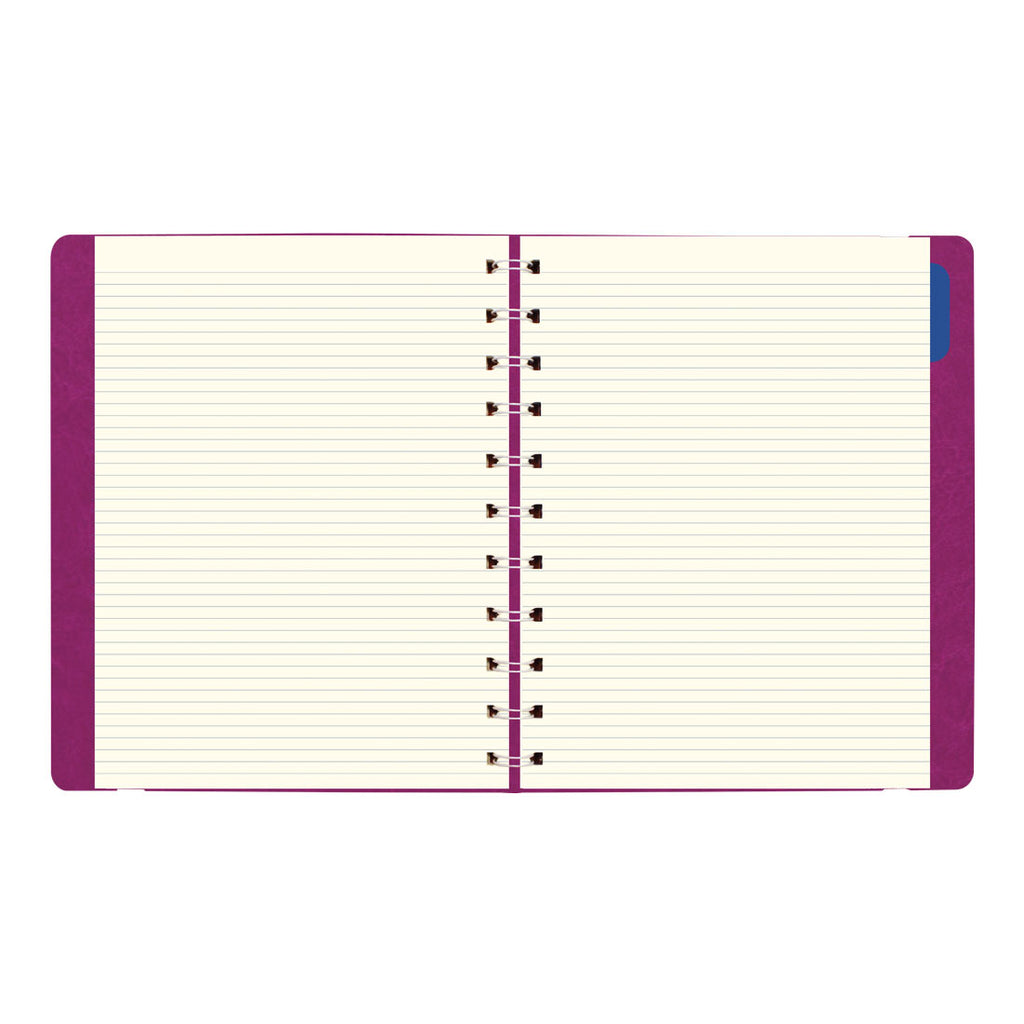 Filofax Monthly Planner - Letter Fuchsia 2026 26-1811003