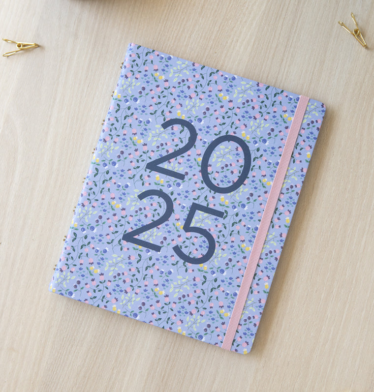 Meadow A5 Planner Sky 2025